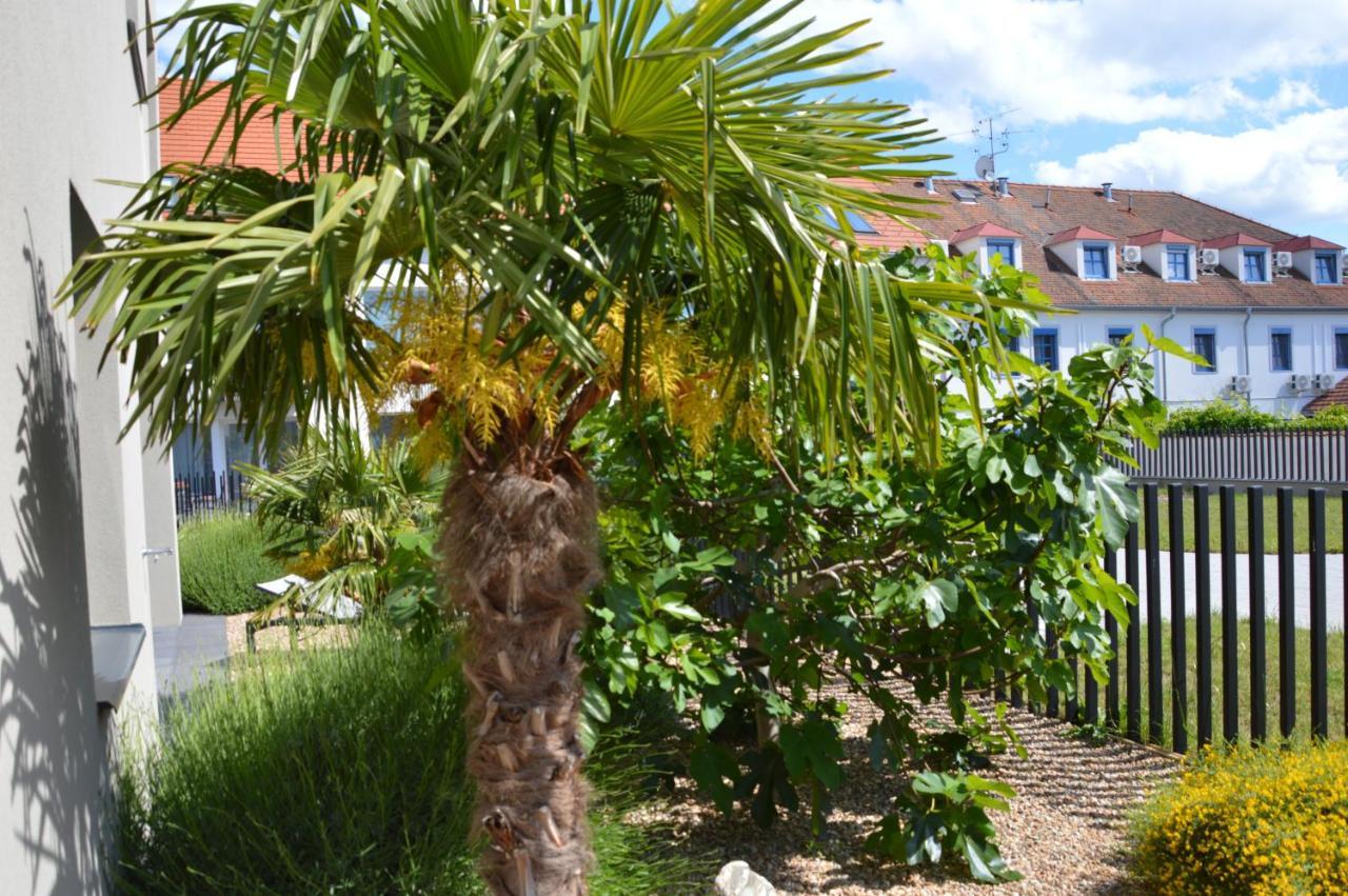 Palm Garden Apartment 1 Mikulov Eksteriør bilde